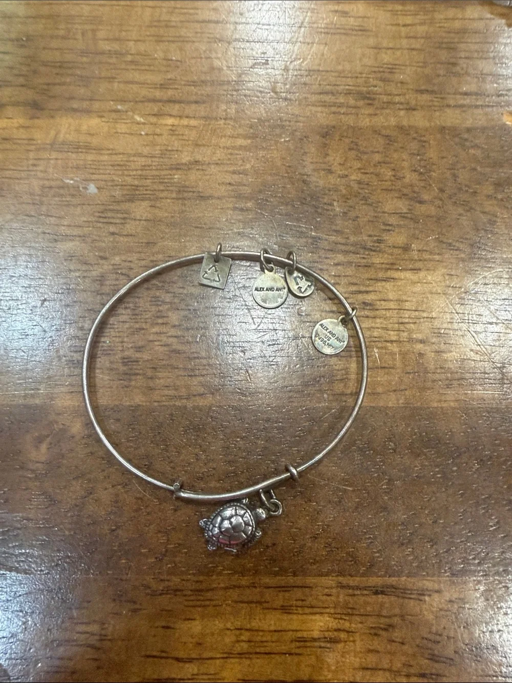 Alex and Ani Antiqued Gold Turtle Charm Expandable Bangle